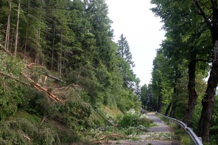 CESTA BEGUNJE CERKNICA REKONSTRUKCIJA KANALIZCIJA 02 FOTO LJUBO VUKELIČ